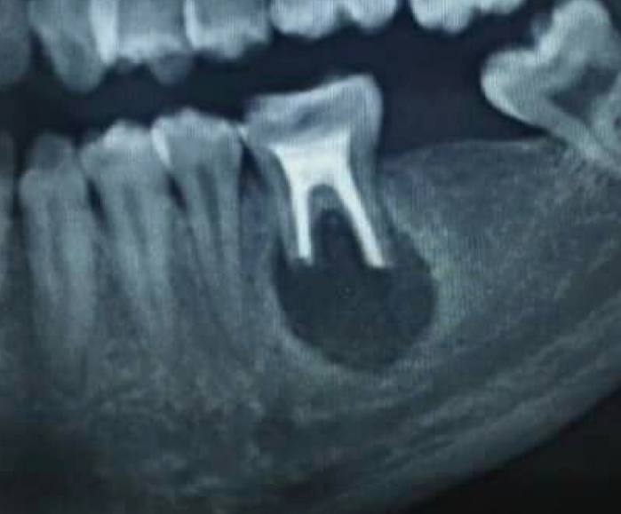 Стоматологія Печервськ HarmonyDental